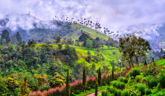 Eje cafetero & San Andr�s