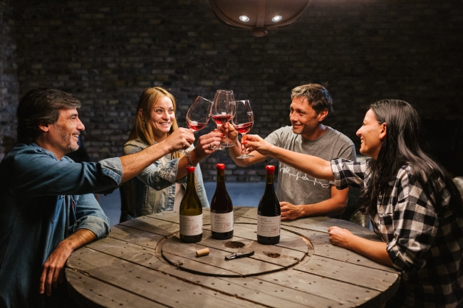 Bodegas Boutique en Mendoza