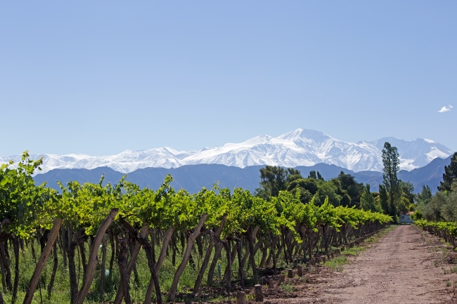 Mendoza  en Vacaciones de Invierno!