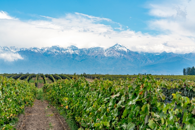 Mendoza  en Vacaciones de Invierno!