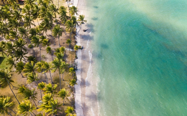 Verano 2027 en Porto de Galinhas