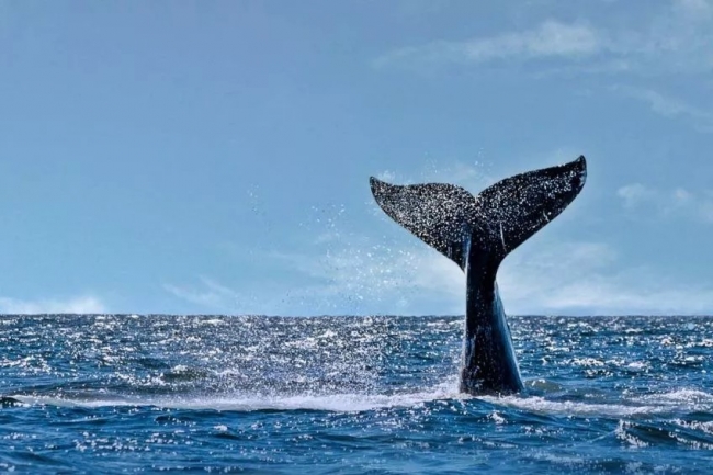 Puerto Madryn para feriado de junio