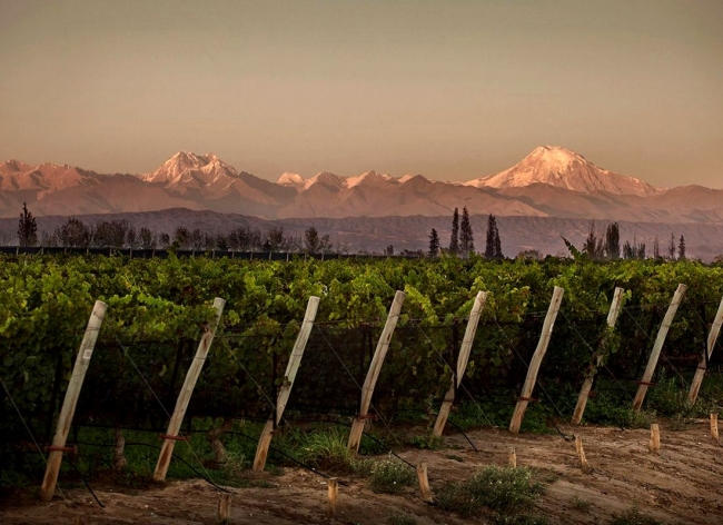 Mendoza en fin de semana largo de agosto