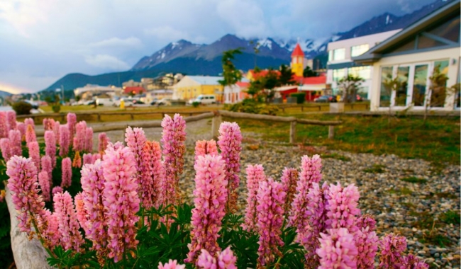 Calafate y Ushuaia en salida grupal  