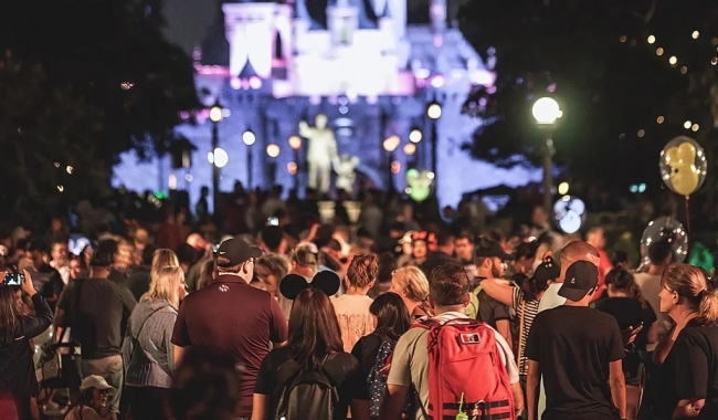 Disney y Miami exclusivo adultos en salida grupal acompaada 