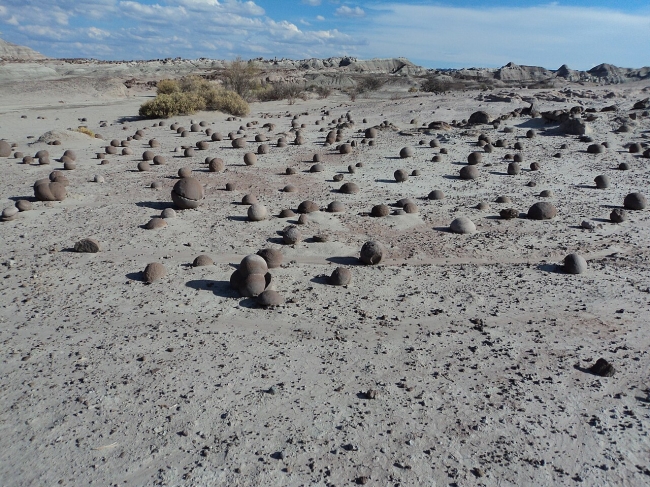 Ruta de Los Dinosaurios 