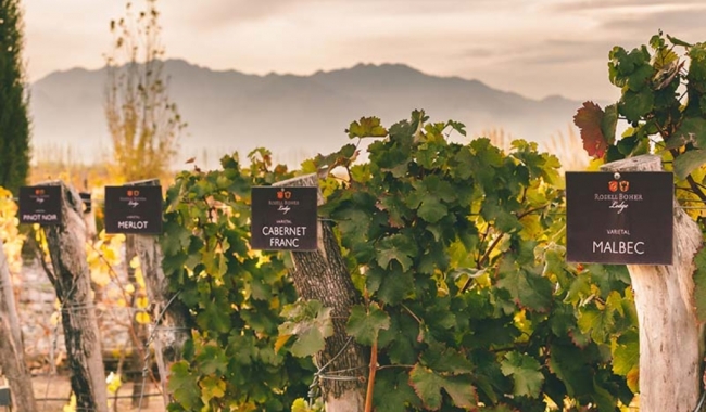 Bodegas Boutique Mendoza. Viaje exclusivo