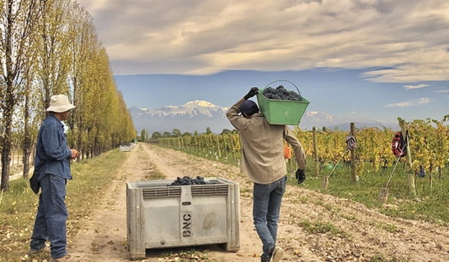 Bodegas Boutique Mendoza. Viaje exclusivo