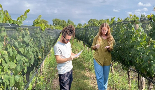 Bodegas Boutique Mendoza. Viaje exclusivo