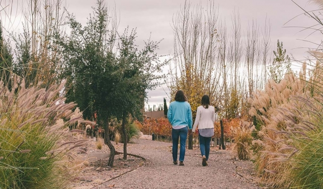 Bodegas Boutique Mendoza. Viaje exclusivo