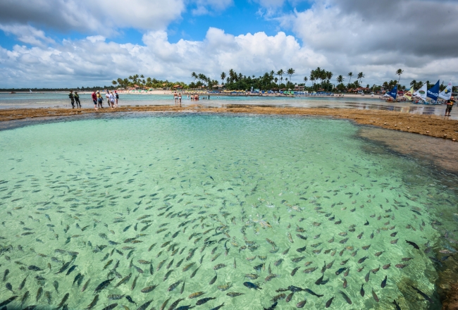 Porto de Galinhas en febrero