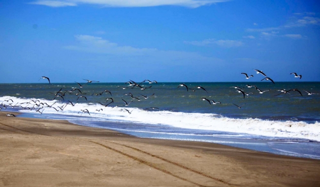 Villa Gesell en Carnaval