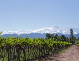 Mendoza  en Vacaciones de Invierno!