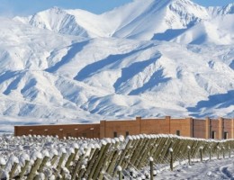 Vacaciones de invierno en Mendoza