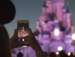 Disney y Miami exclusivo adultos en salida grupal acompaada 