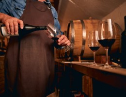 Bodegas Boutique Mendoza. Viaje exclusivo