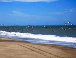 Villa Gesell en Carnaval